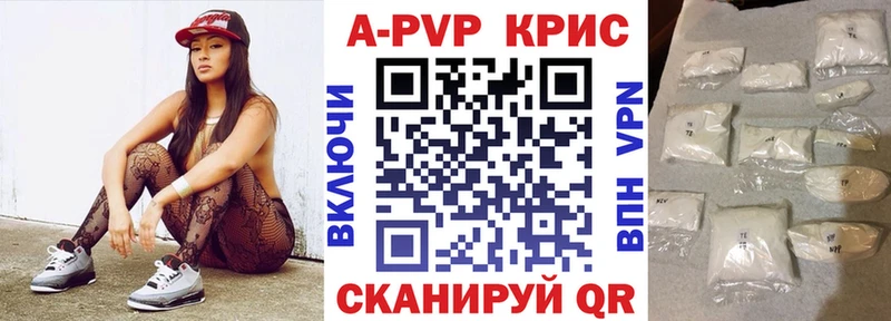 A PVP СК КРИС  Междуреченск 