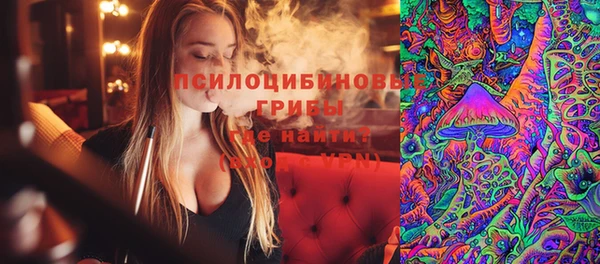 2c-b Богородицк