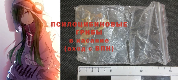 2c-b Богородицк