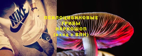 2c-b Богородицк