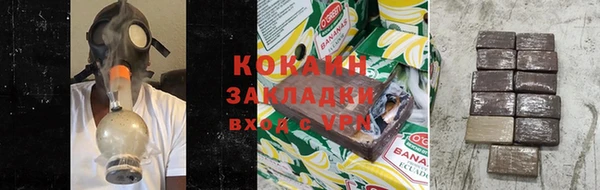 дурь Богданович